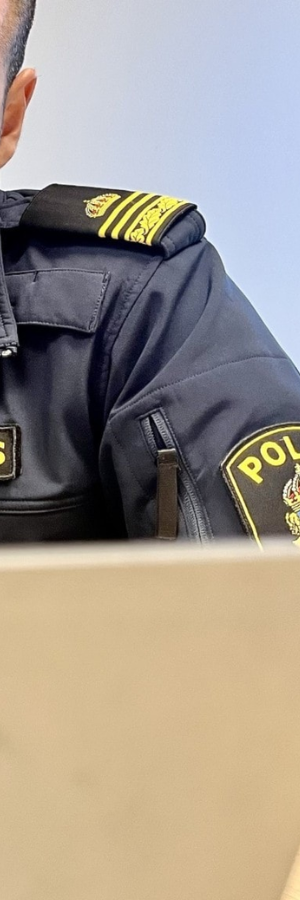 stämningsman